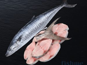 Kingfish / سمك كنعد / Seer Fish (Medium) (2kg+)