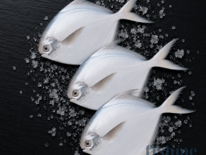 Silver Pomfret / الزبيدي / Avoli (100g to 200g) (100g+)