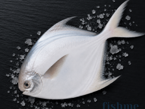 Silver Pomfret  / 300g+