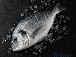 Sea Bream (500g+) – Product of Turkey 🇹🇷