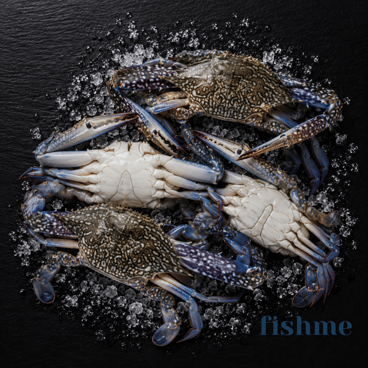Blue Swimming Crab (Mix) – Arabian Waters