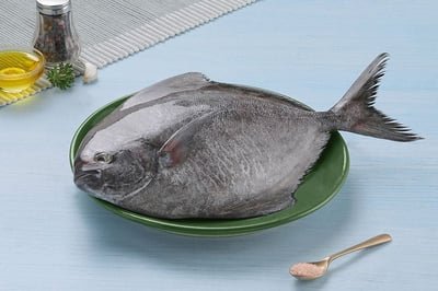 Black Pomfret / الزبيدي أسود / Karutha Avoli (400g+)