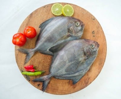 Black Pomfret / الزبيدي أسود / Karutha Avoli (Medium) (300g+)