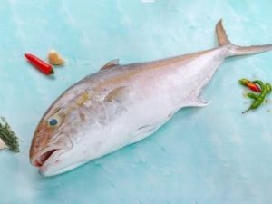 Butter Fish / سمك زبيدي هندي / Punnarameen (7kg+)