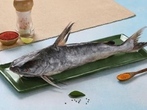 Catfish / سمك جم / Etta Koori (Large) (2kg+)