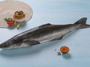 Cobia / سمك سكل / Motha (4kg+)