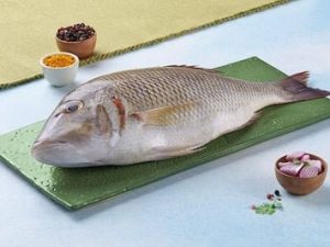 Emperor / شعري / Sheri