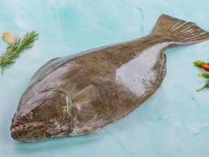 Halibut / سمك هلبوت / Ayiram Palli (3kg+)