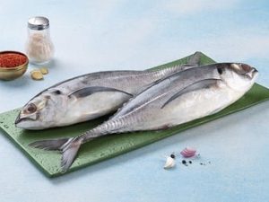 Horse Mackerel / قرفا / Ayala Para (600g+)