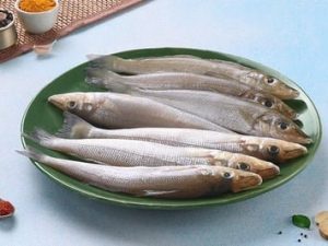 Lady Fish / أصابع الست / Hassom / Silver Whiting (30+count/kg)