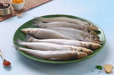 Lady Fish / أصابع الست / Hassom / Silver Whiting (30+count/kg)