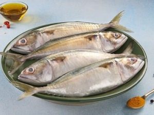 Mackerel / ماكريل / Ayala (Large) (8+count/kg)