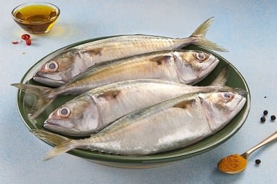 Mackerel / ماكريل / Ayala (Large) (8+count/kg)