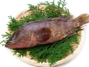 Reef Cod / هامور / grouper