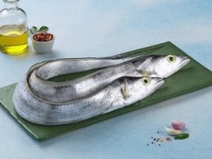 Ribbon Fish / سمك السيوف / Belt Fish (800g+)