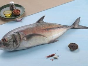 Trevally / جش صال / Vatta (Large) (2kg+)