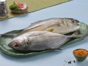 Trevally / جش صال / Vatta (Small) (100g+)