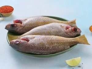 Yellow Snapper - Whole Cleaned