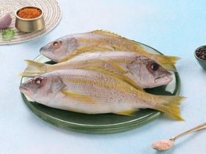 Yellow Snapper / النهاش ذو الذيل الأصفر (150g+)