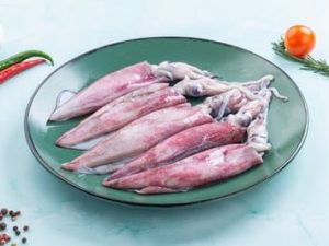 Squid /حبار / Koonthal