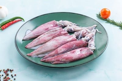 Squid /حبار / Koonthal