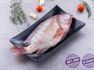 Tilapia / بلطى