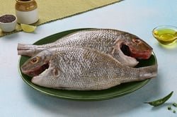 Emperor / شعري / Sheri - Image 5