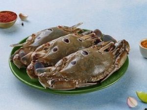 Sea Crab / سلطعون أزرق (150g+)