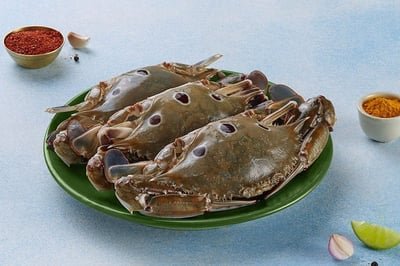 Sea Crab / سلطعون أزرق (150g+)