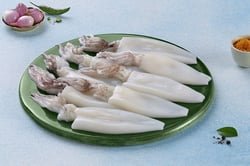 Squid /حبار / Koonthal - Image 5