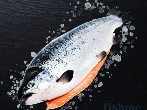 Salmon whole 4-5 (Origin Norway)  price mention for whole raw fish