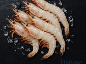 Sea White Shrimp – Oman Origin (15–20 Count)