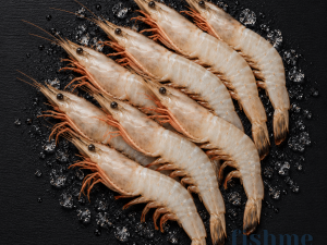 Sea White Shrimp – Oman Origin (30–40 Count)