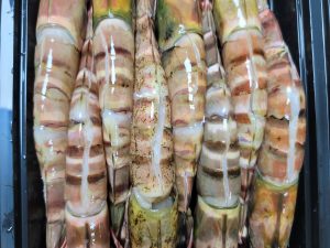 Jamboo tiger shrimps (10 piece in one kg) clean and washed