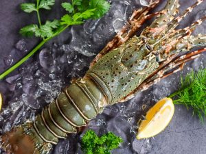 Laboster (400 grams+) fresh Origin Oman