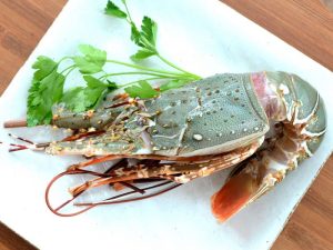 Laboster fresh (200-300 grams) Origin Oman