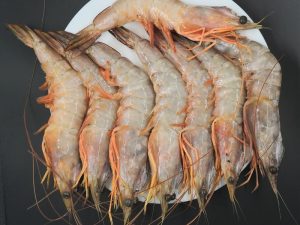 Sea white shrimps medium (20-30 piece per kg) origin Oman