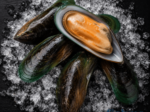 Green Mussels – Wild Caught from Pakistan