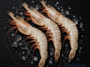 Sea White Shrimp – Oman Origin (15–20 Count)