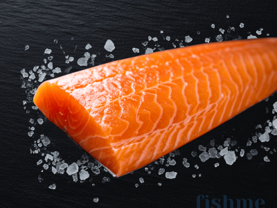 Copy of Untitled.png salmon belly